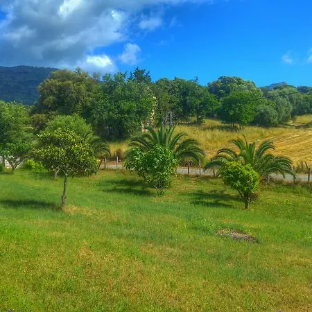 Maquis Et Holiday home Sollacaro
