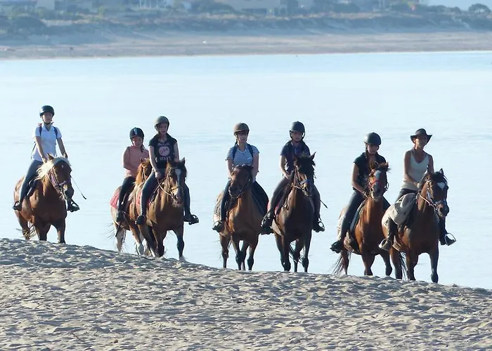 Maquis Et * Sollacaro