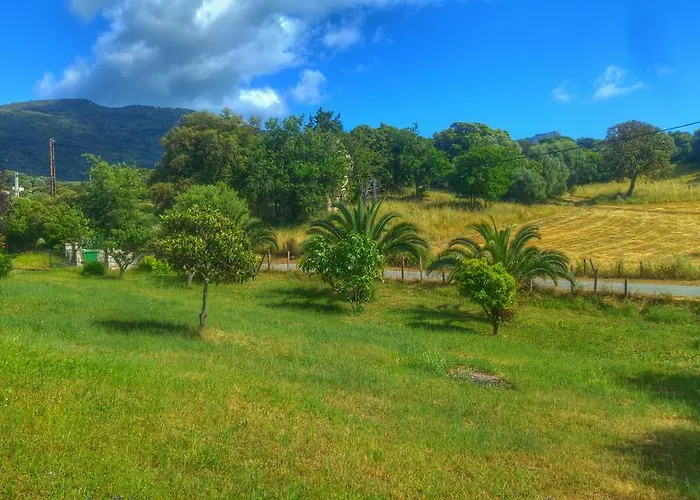 Maquis Et Hébergement de vacances Sollacaro